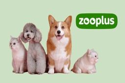 Alles für Ihren vierbeinigen Freund: Sparen Sie mit einem Zooplus Gutscheincode