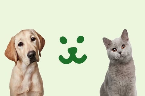 Mit den Fressnap Gutscheine sparst du bei Produkten für die Pflege deiner tierischen Freunde