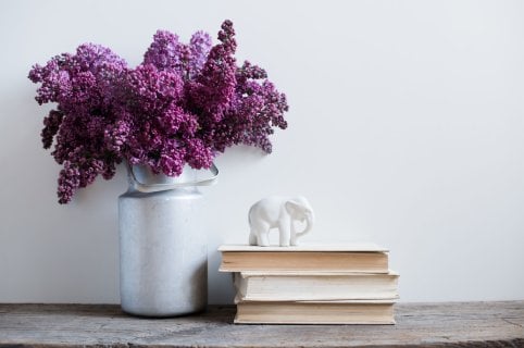 Aprovecha al máximo la primavera: consejos para disfrutar y ahorrar