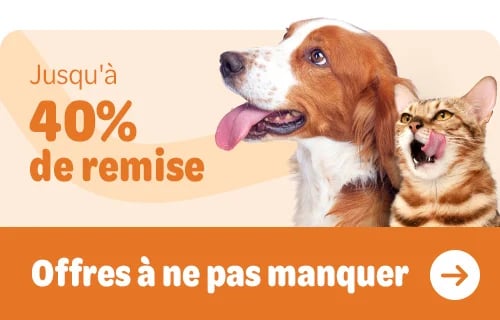 offres zooplus
