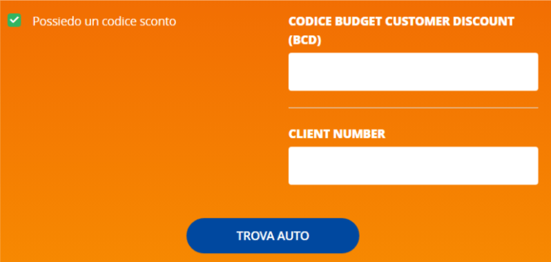 dove inserire il codice budget