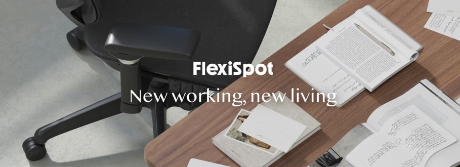 offerte flexispot