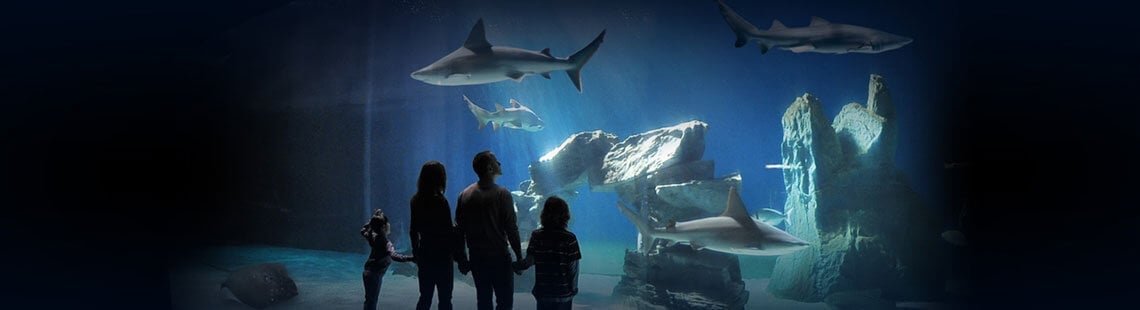acquario di genova biglietti scontati