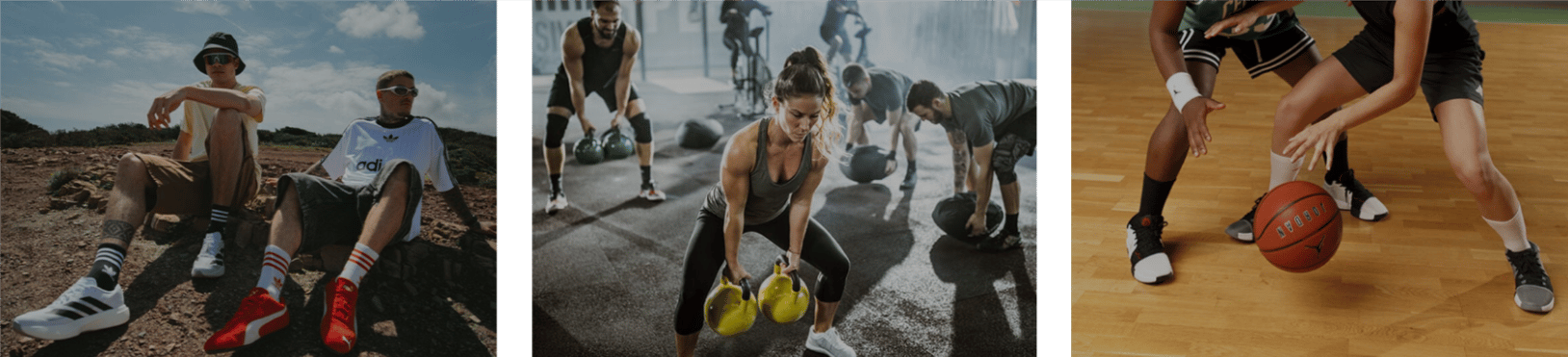 acquistare su cisalfa