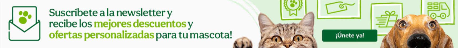 suscribirse a la newsletter