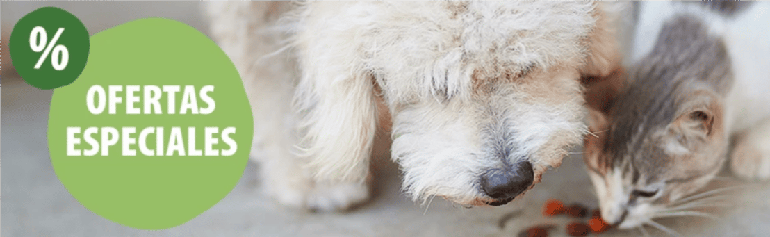 ofertas especiales de zooplus