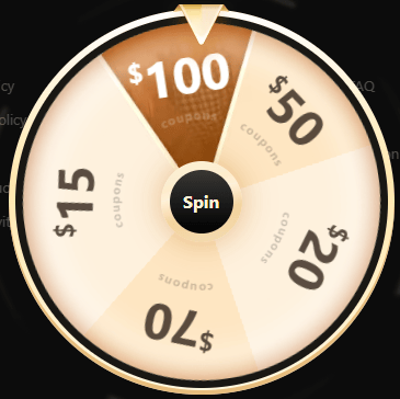 temu wheel spin